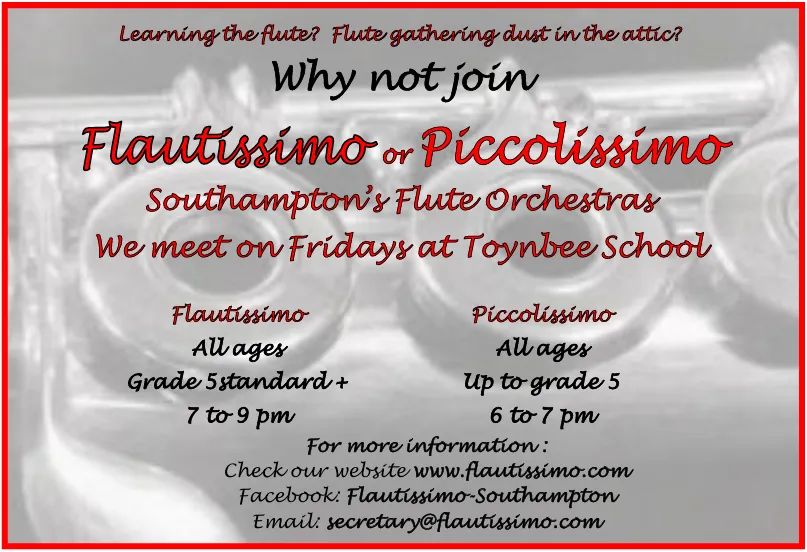 Flautissimo and Piccolissimo Flute Orchestras Rehearsals image