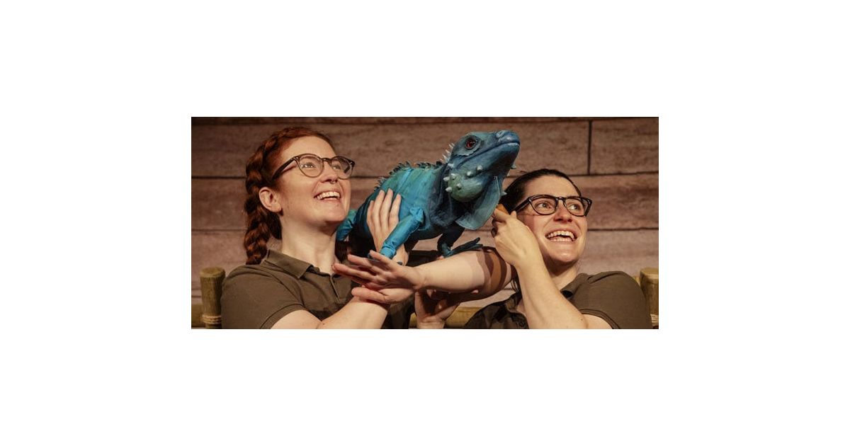 The Zoo That Comes To You - Local Events at Colden Common Community ...